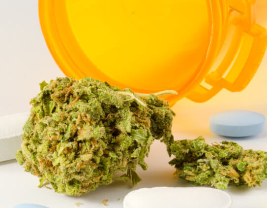 The 411 on 420: Things You Should Know About Medical Marijuana