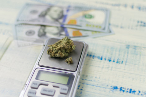 no-state-cap-for-medical-marijuana-businesses-in-florida-what-this-could-mean-for-patients