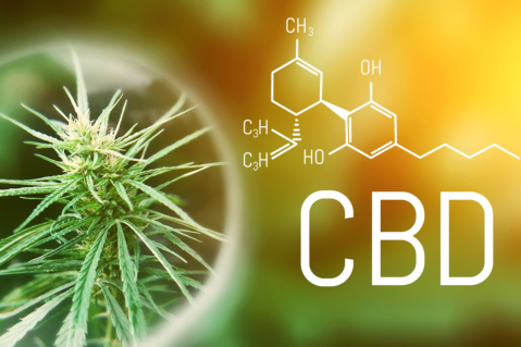 The Key Differences Between CBD and THC