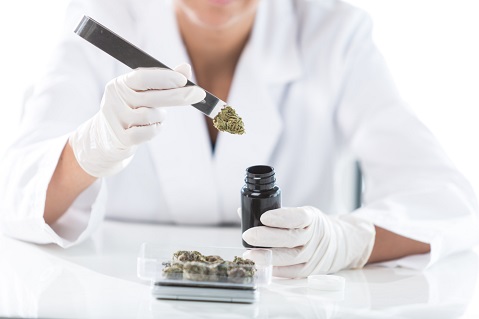 medical-marijuana-evaluations-what-to-expect